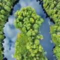 ​​Seminário: Meio Ambiente & Teologia